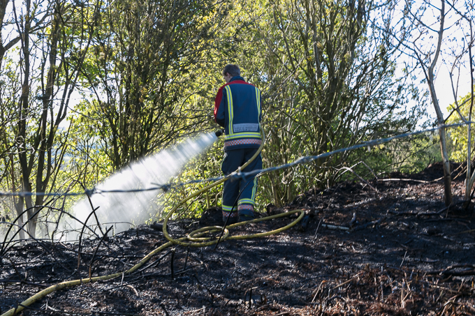 Fire Brigade 2017 (18)